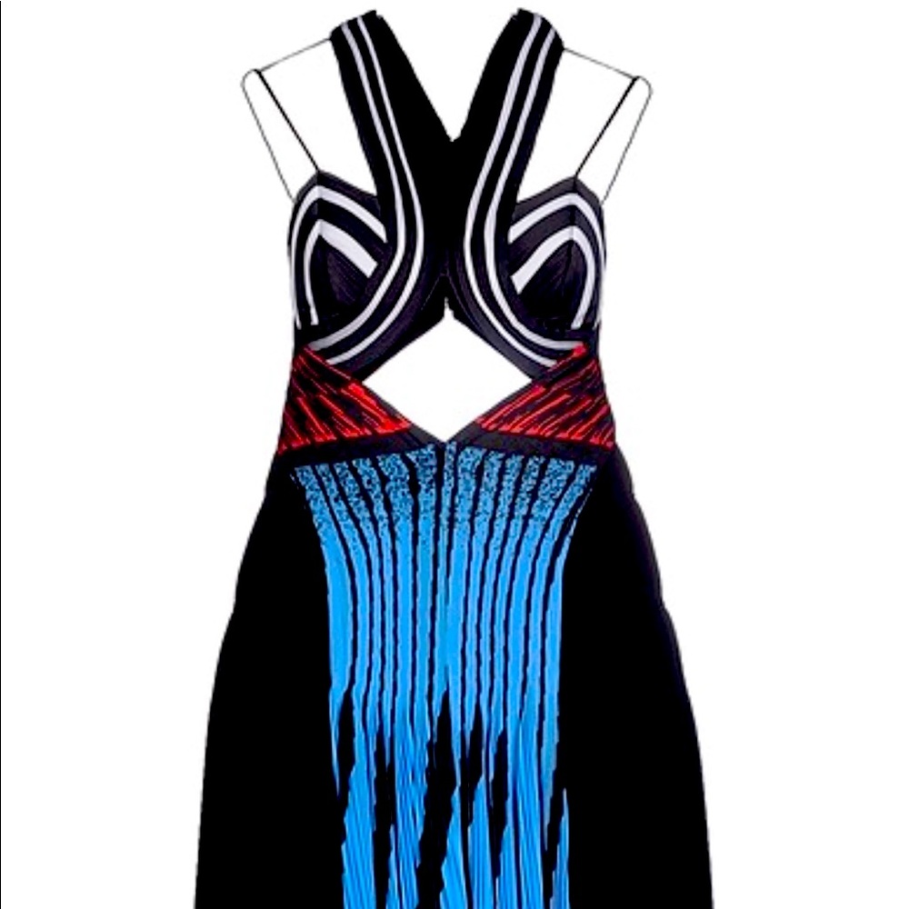 Gorgeous, one of a kind runaway dress.